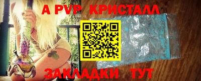 бошки Шелехов