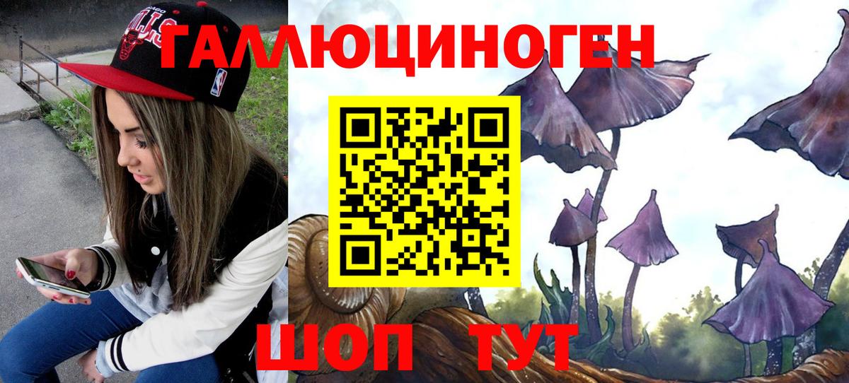Псилоцибиновые грибы прущие грибы  Вход с VPN  Канаш 